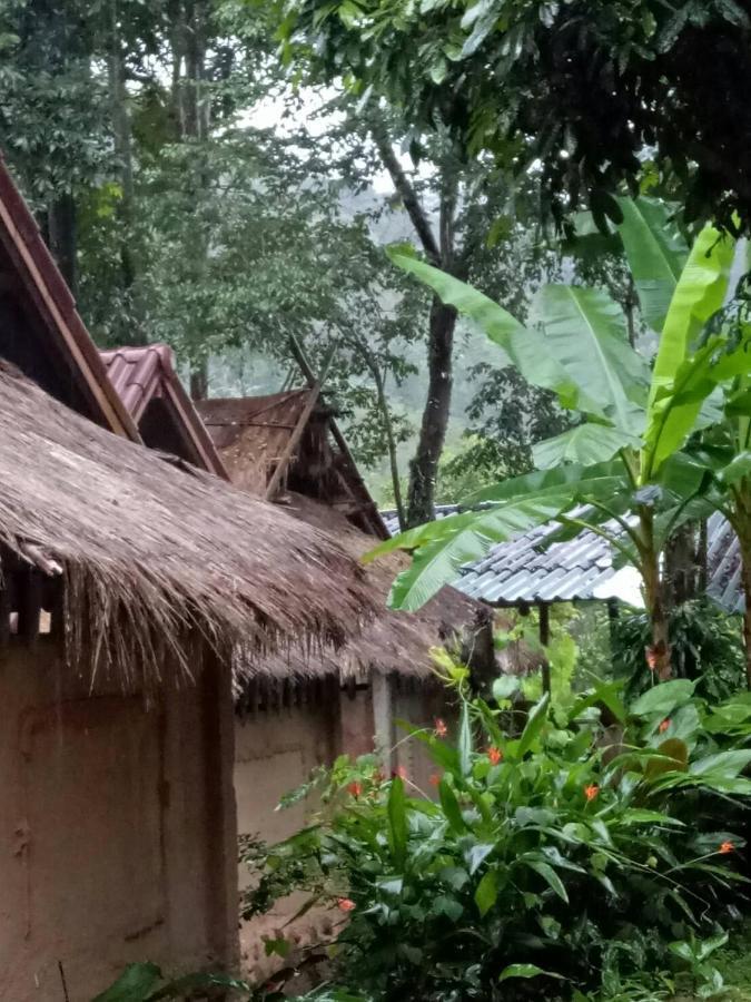 Hill Tribe Art House Apartment Chiang Rai Bilik gambar